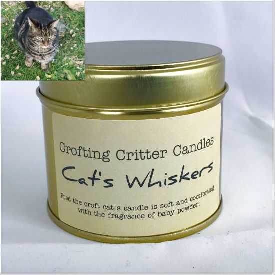 Cat's Whiskers Candle