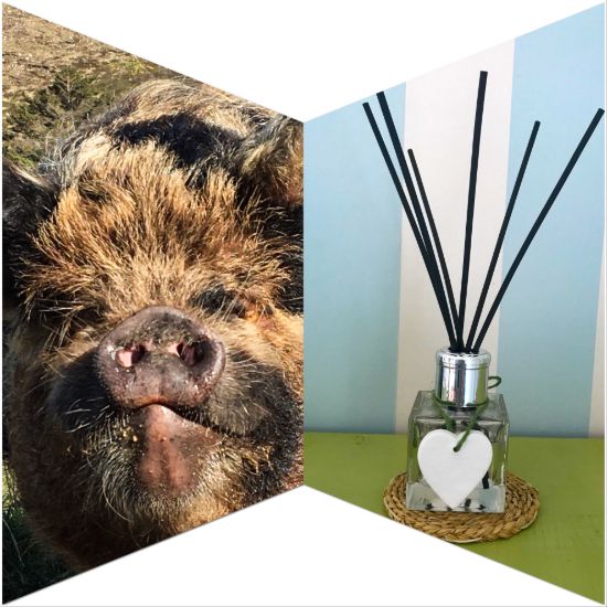 Sir Clive Reed Diffuser